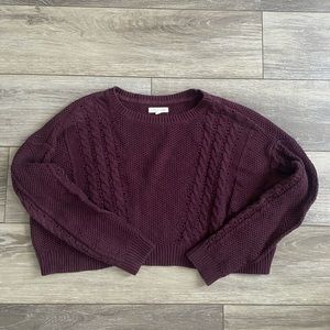 Pacsun cropped sweater